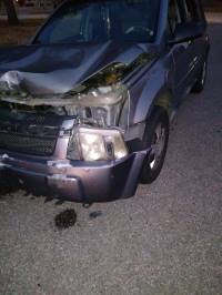 2005 Chevrolet Equinox