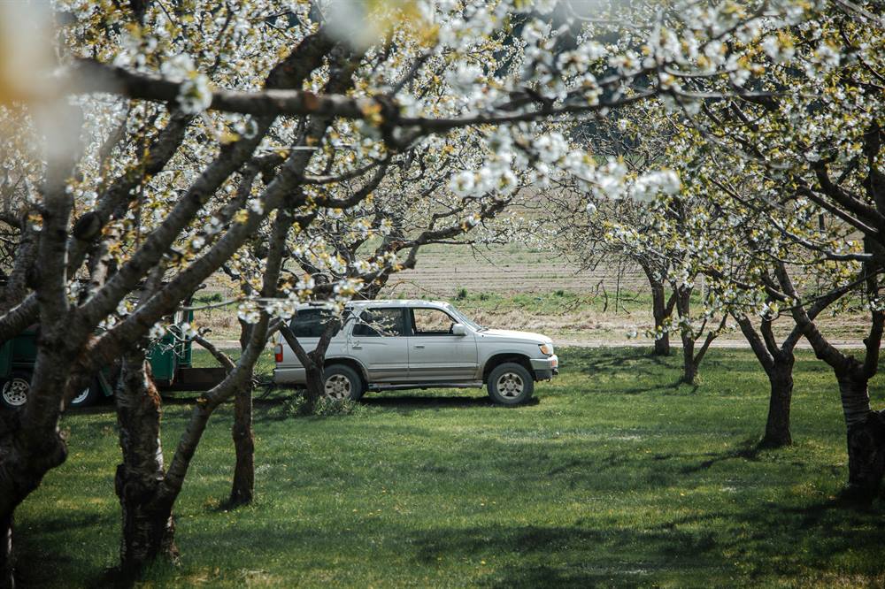 Selling Car in Spring